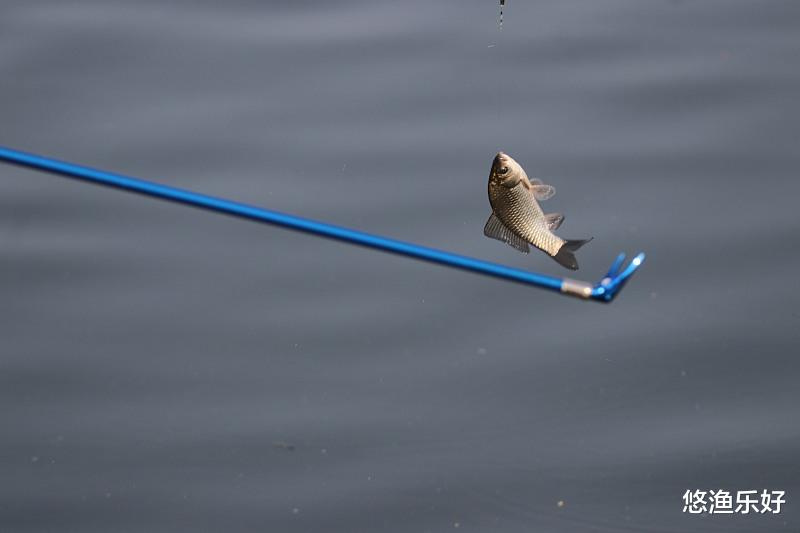 江苏省|五个小妙招，助你打破钓鱼没口僵局