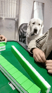 |“办公室女老板桌子上发现了个塑胶棒，这是什么棍子？”哈哈哈快藏起来