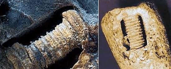 科学家 一颗来自3亿年前的螺丝钉，会引起科学家们什么样的争论呢？你认为是真的吗