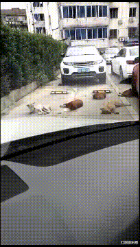 客厅|“老家旧房子打扫出来的瓶子，能不能换一套房？”哈哈要海景房！