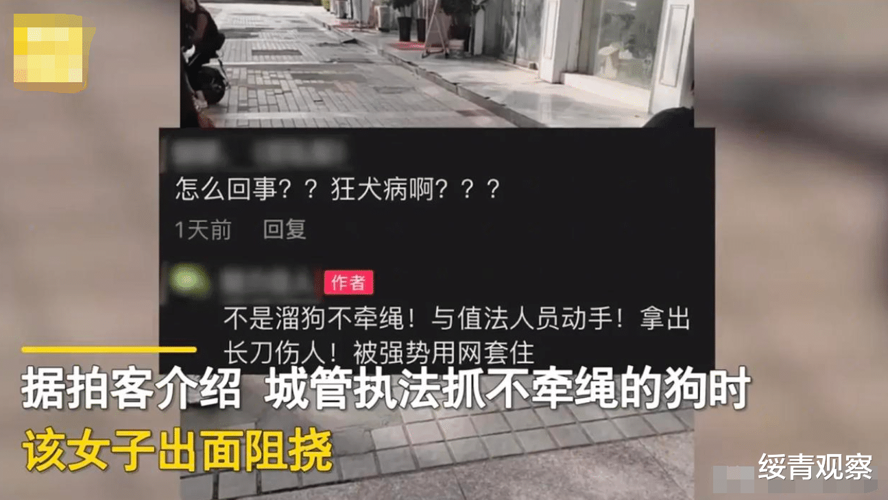 绥青观察 弱女子被3名男子用套狗网套住，只因女子持刀妨碍执法，围观者纷纷叫好