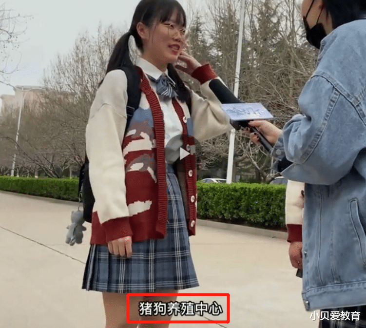 宿舍|大学室友关系等级表火了，“第2级”最舒服，你们宿舍在哪一级？