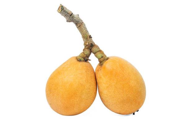 肝癌|咳嗽老是好不了?用这5种食物泡茶喝,润肺止咳远离咳嗽