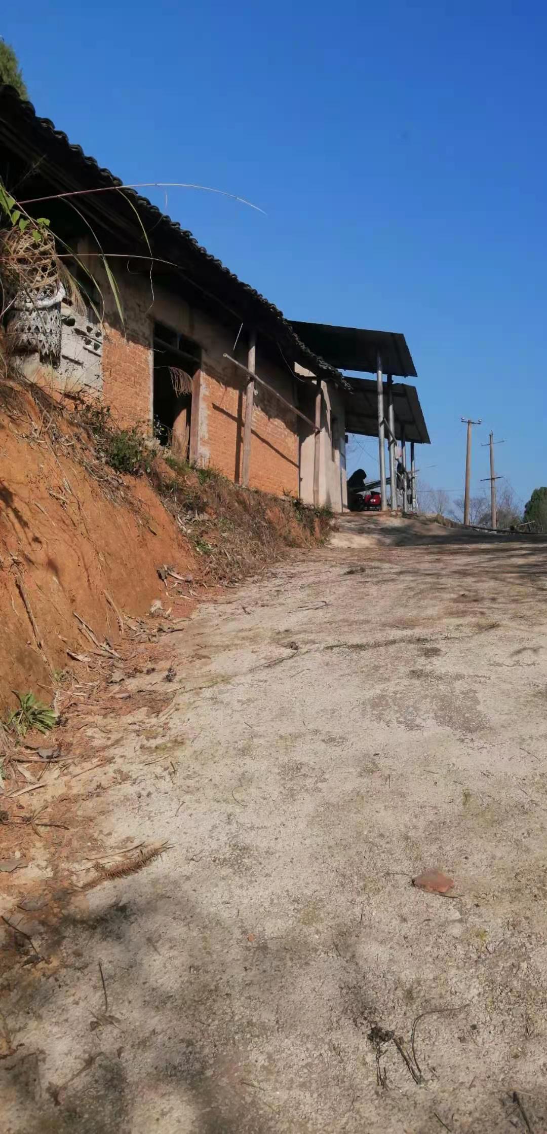 水殿风凉 一个农村孤寡老人的春节