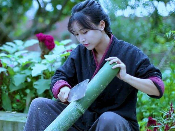 李子柒 李子柒深夜发文：被恶心到了，资本真是好手段，隔天透露已报警