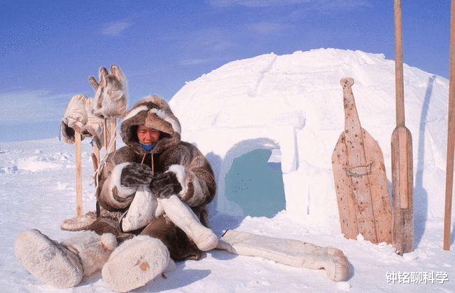 海豹 吃生肉,腌海雀,抓海豹!爱斯基摩人的生活方式究竟有多野?