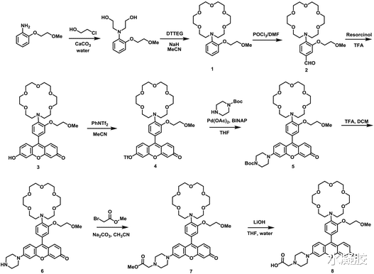  加州大学伯克利《Chem. Sci》活细胞中钾离子比例荧光成像的双荧光传感器