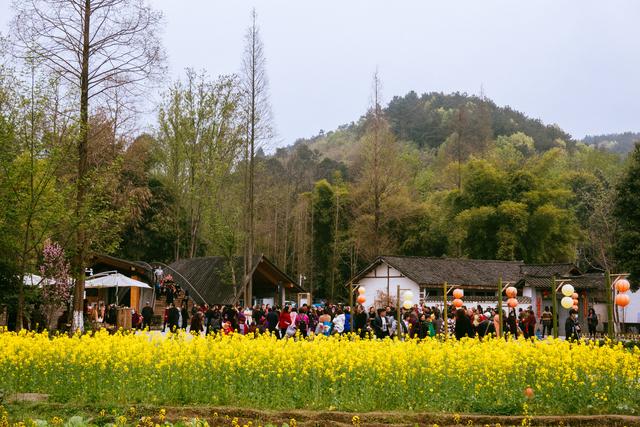 崇州|崇州竹艺村，到了节假日人满为患，究竟有多好看？