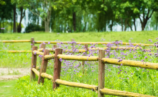 实战命理专家刘老师|伤官太旺，为人聪明傲物，喜高谈阔论，不喜受拘束