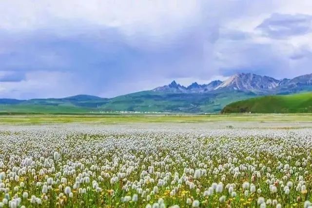 江西 9个适合一个人旅行的地方,趁着五一小长假出来走走吧~