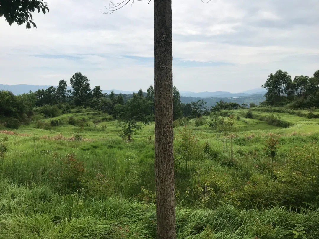 |风水寻地记，如玉盘之高山窝穴阴宅风水美地分享（多图）