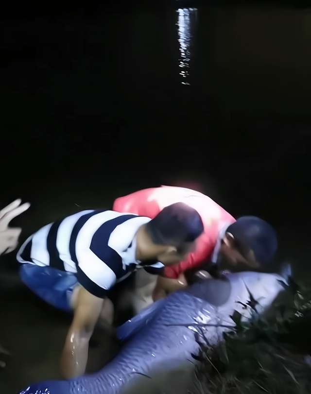 童书小窝|男子钓起百斤鱼王,放生引网友点赞,知情者:水库老板奖励3800