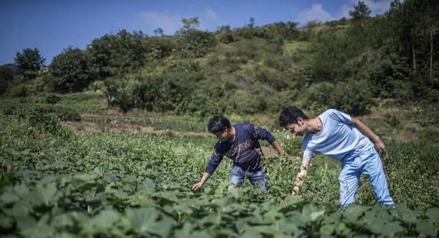 发际线|发际线男孩小吴，一年多没见，模样大变，看起来他过的不错