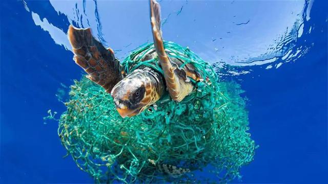 白色污染|深入万米海底,发现本不该出现的东西,地球未来会走向毁灭吗?