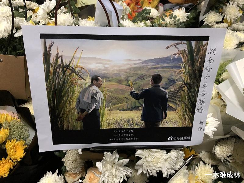 一木难成林|带货主播审核责任，就能杜绝假货吗？