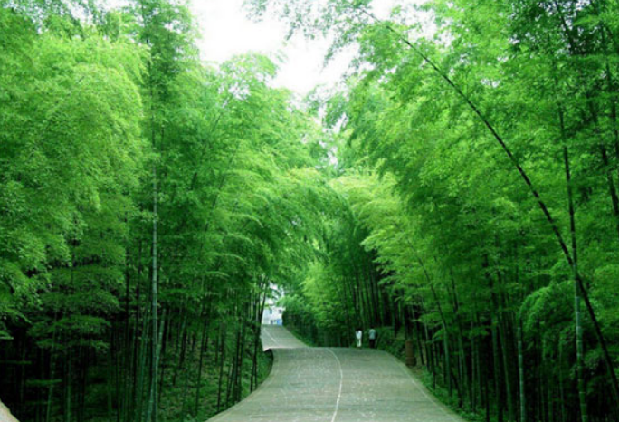 退休|退休之后,真正聪明的人,不会寻找存在感