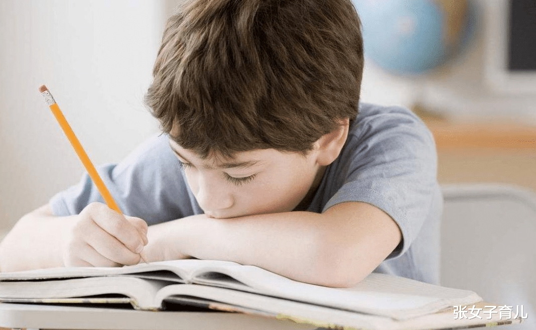 张女子育儿|暑假给孩子看什么书好呢？如果只能选一套，我毫不犹豫给孩子选它