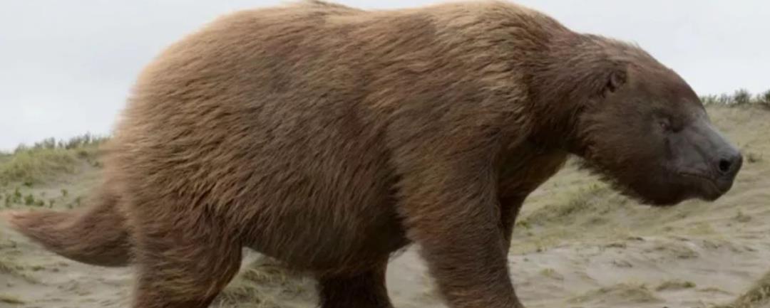 高原 形成于13000年前的隧道从何而来？学者：建造者不是人类