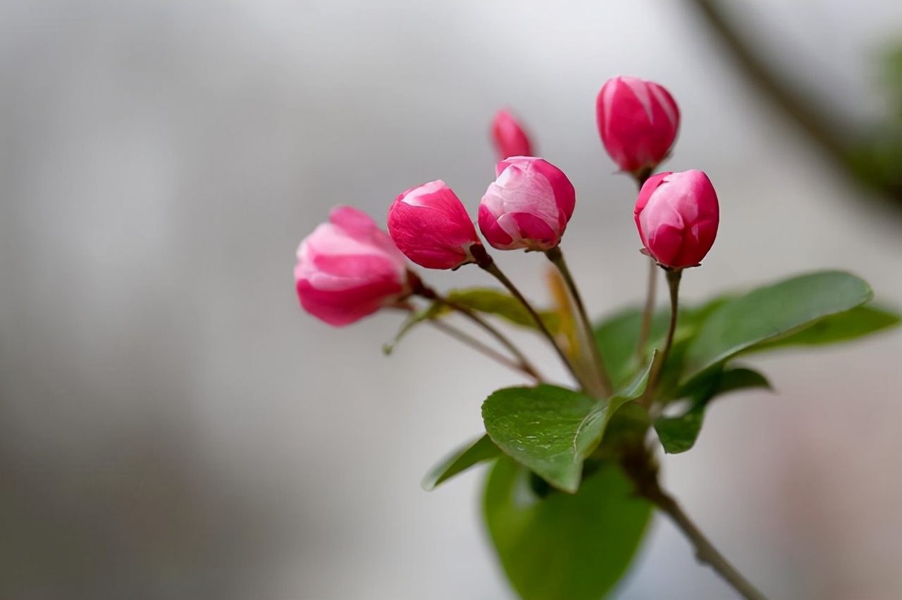 铜川|年过四十的女人要明白,爱自己,往往从做好三件事开始