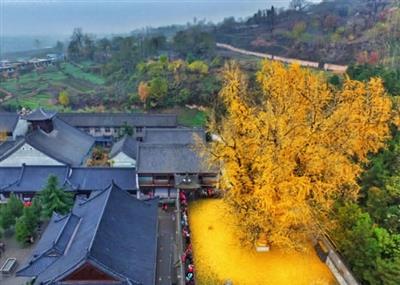 行星秘闻|西安有一景区走红，是终南山千年古刹之一，距市区只有30公里