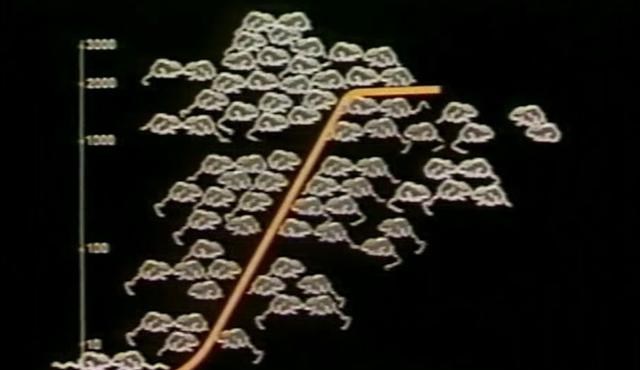 人造天堂 在人造“天堂”里,老鼠560天后走向灭亡,这就是安逸的结局吗?