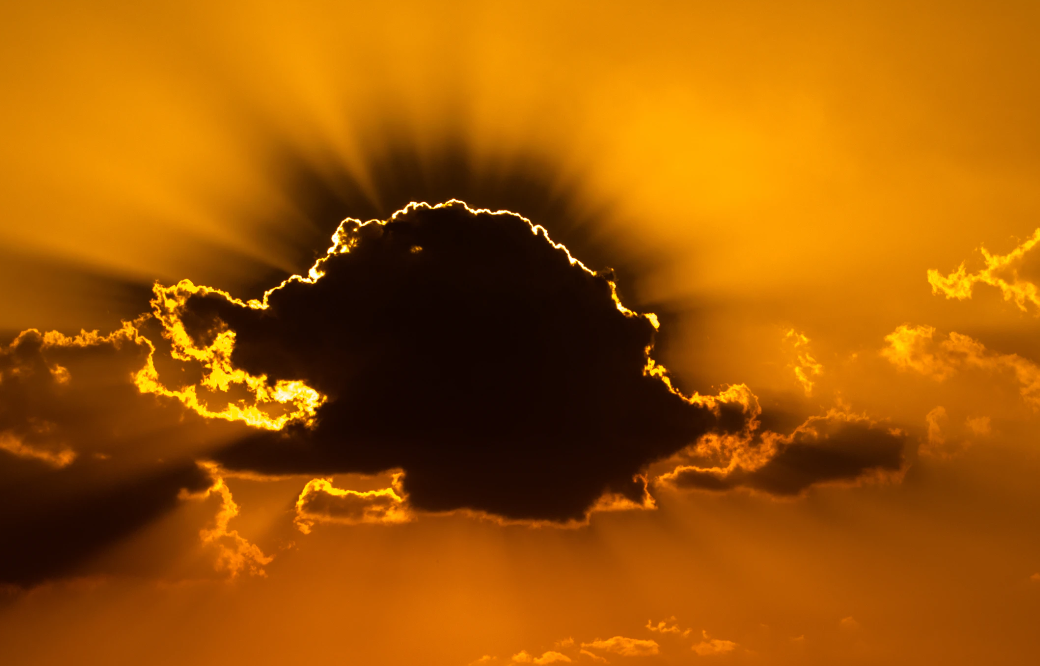 本人讲星座|心思缜密，先见之明的星座，善于掌控人心，但没有什么控制欲