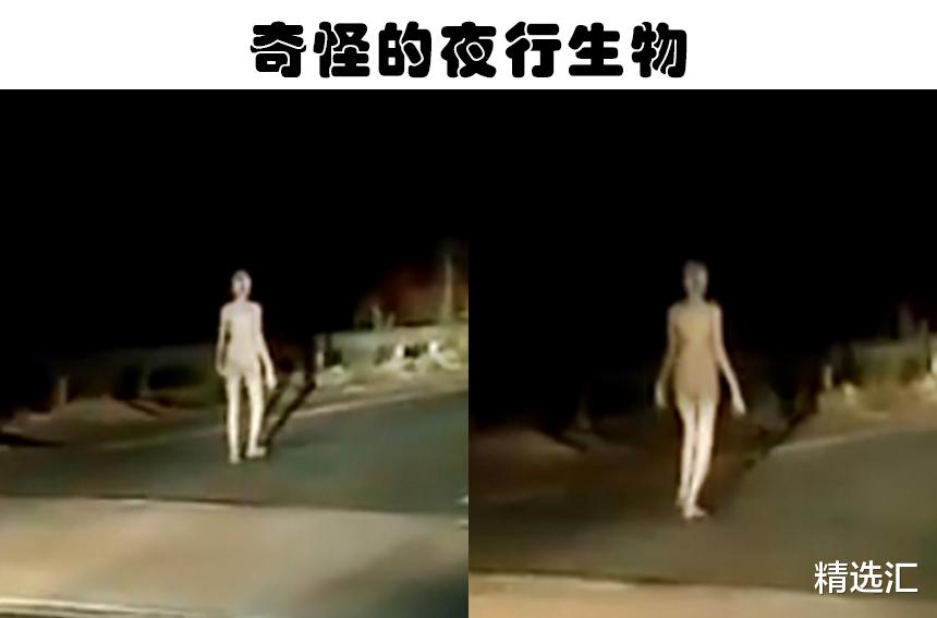 中新经纬 奇怪的南极结构到底是什么？5个引发了阴谋论的神秘发现