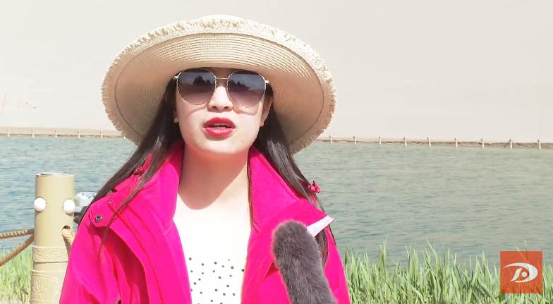 掌上敦煌 月牙泉边丁香花开醉游人