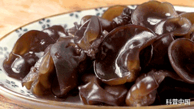 肺炎|这根血管堵了最容易被忽略!脑梗、脑中风都与它有关…