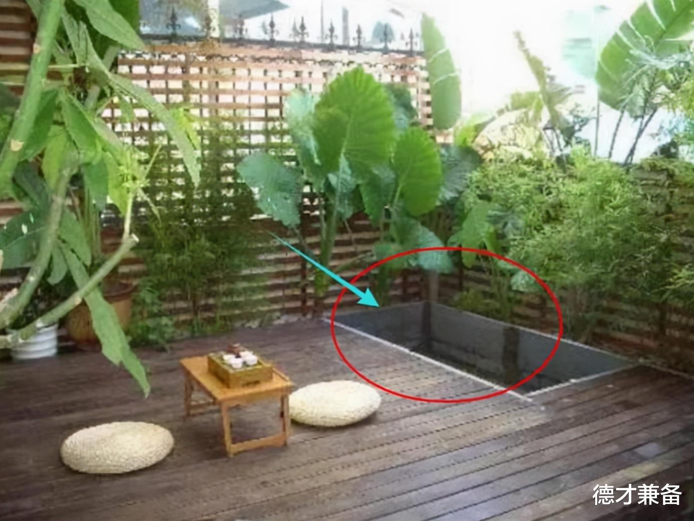 德才兼备|18天打造的空中桃源，有花有鱼还有爱，生活真是多姿多彩