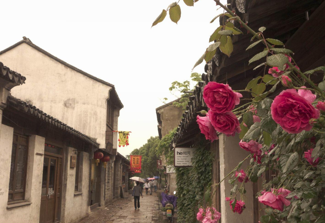 青海湖 苏州旅游必去的5条老街，风景秀丽古韵十足，你去过几处呢？