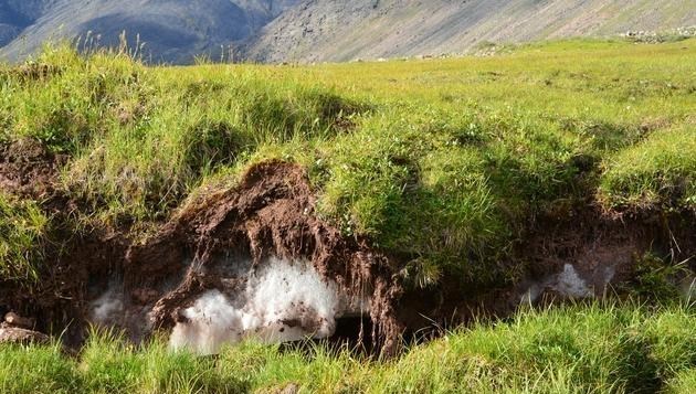 北极大火转入地下,“僵尸火”冰原燃烧了8个月,远古病毒或释放