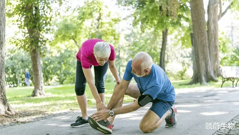  半月板损伤有救了，中国首个胚胎多能干细胞注射液药物有望走入寻常百姓家