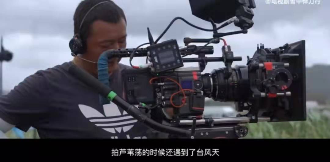 芦苇荡|雪中悍刀行：拍摄20天的芦苇荡刺杀骂声一片，世子和打戏一同被骂