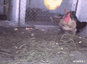 每天都是潮人|我给她分享快乐,她却说我有病该怎么办?