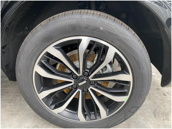 时尚生活观察|深圳首个摩卡来交作业了