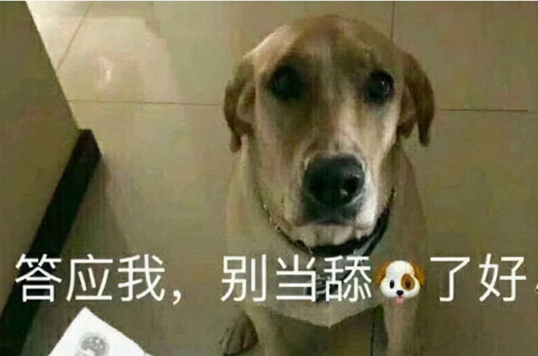避难所|2021年游戏圈流行语，主播带火一大半，最火的那句人已经进去了