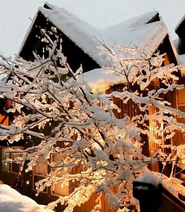 钟嘉欣|钟嘉欣为5岁女儿庆生，素颜出镜黑眼圈抢镜，Kelly紧搂妈妈萌态足