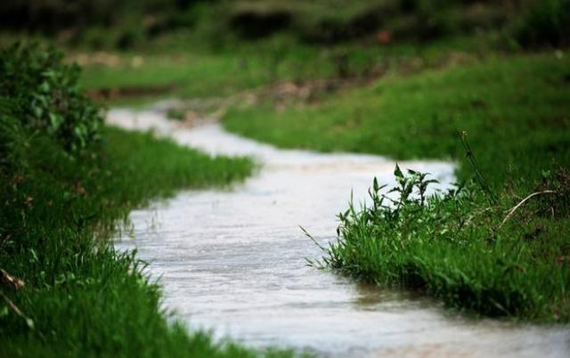 育儿棒棒糖|小时候农村的河里这么多小鱼小虾，为什么现在的小鱼小虾越来越少了呢？