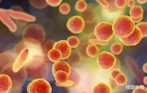 肿瘤|科普：炎症和癌症有什么关系？