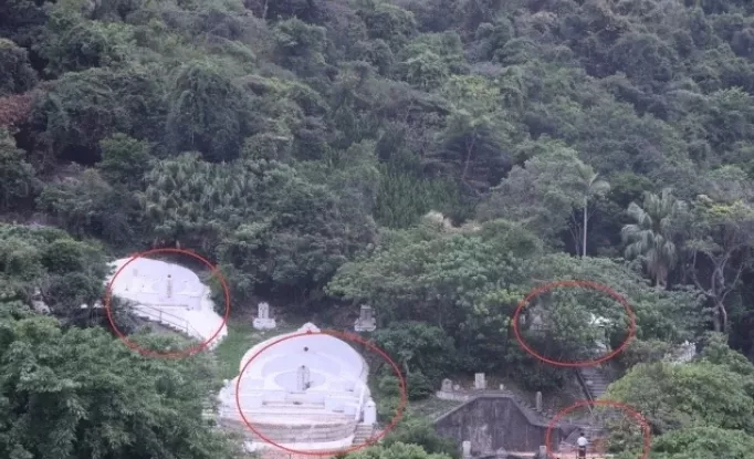 何超英|从赌王最美千金到疯癫：她是如何被毁掉的