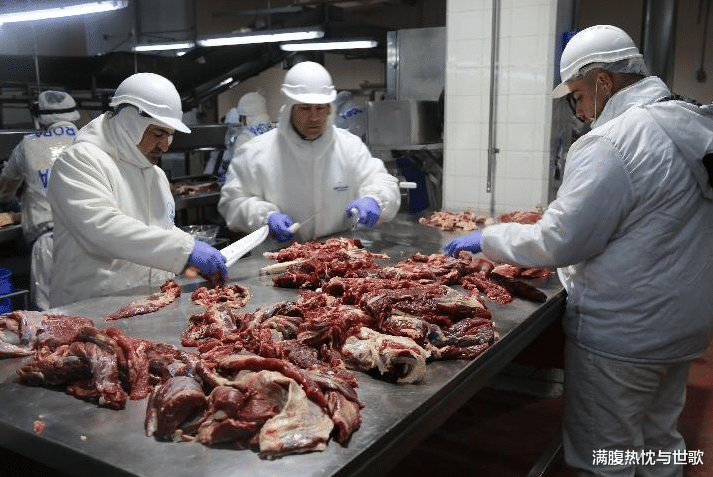 澳大利亞迎來春天？阿根廷暫停出口牛肉給中國，卻甩鍋給中國？-圖4