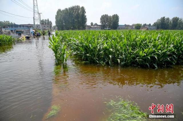 公共场所|洪灾后猪肉、蔬菜、粮食会涨价吗？回应来了