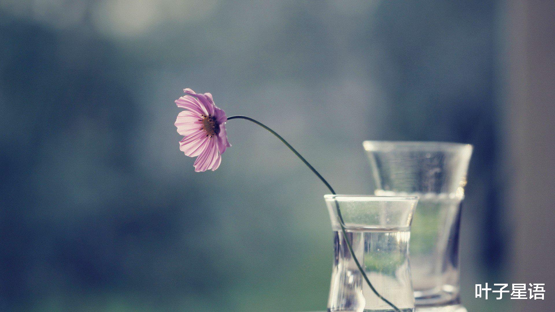 地下城与勇士|明明有能力，奈何太心急，这些星座“成也脾气，败也脾气”