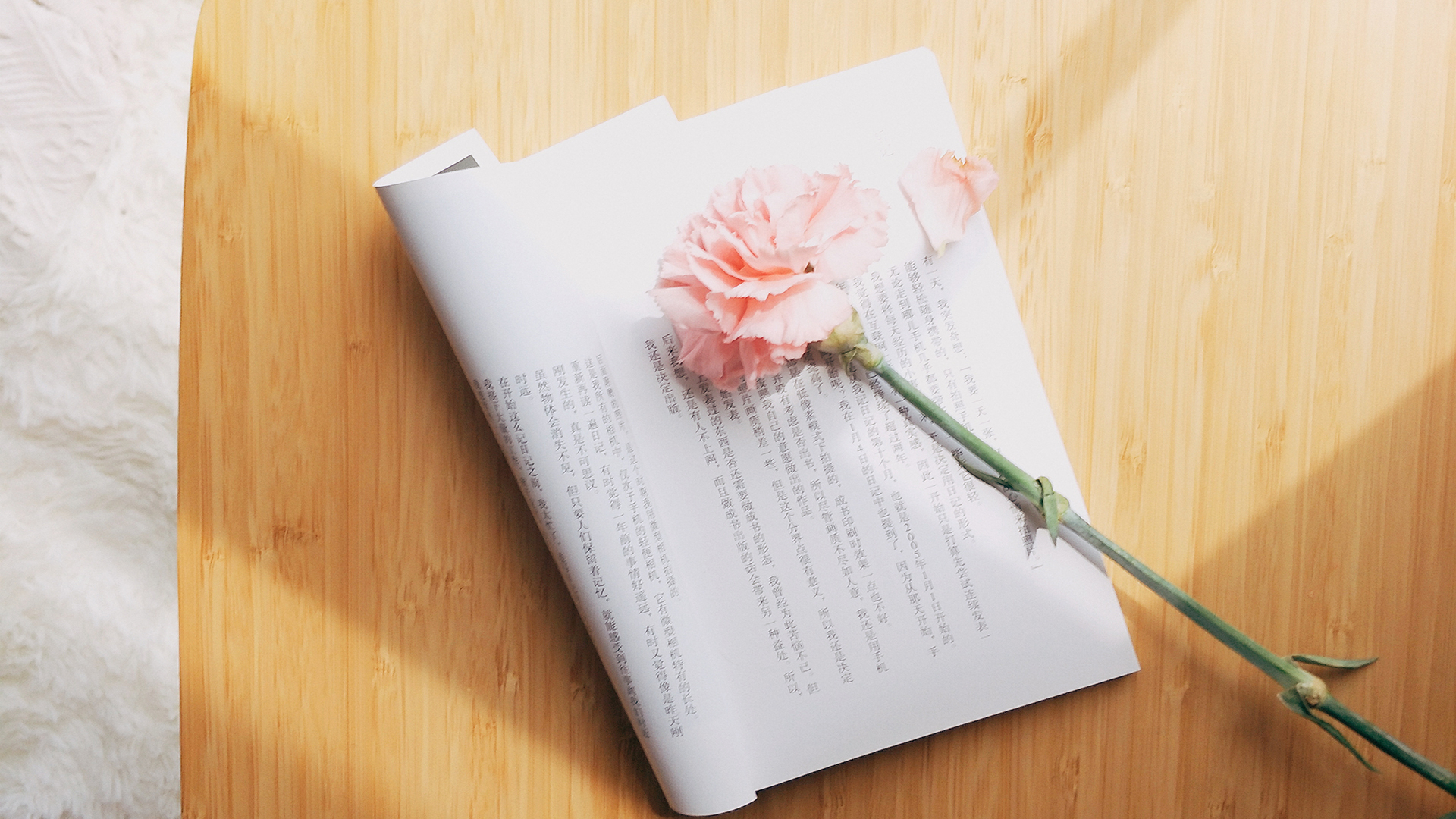 鲲鲲爱写作|让人生更惬意的十件小事,学到就是赚到