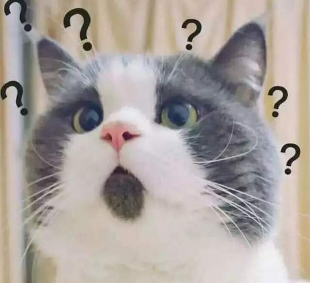 原神|原神:雷大炮是谁?阿响超狗血?细数稻妻那些你可能不知道的事