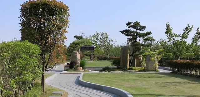 果莓妈咪说 又一“暴利”行业强势崛起，年薪30万是常态，老年人越多越赚钱