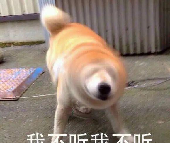 茶苏苏烘焙日记|这搭配绝了！冰凉绵沙口口料，成本不到5元吃到饱！
