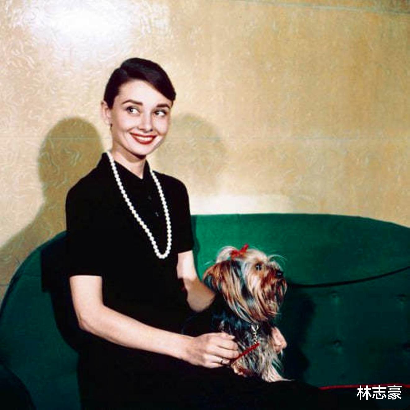 邓丽君|惊艳时光的明星！16岁的邓丽君，32岁的梦露，64岁的赫本