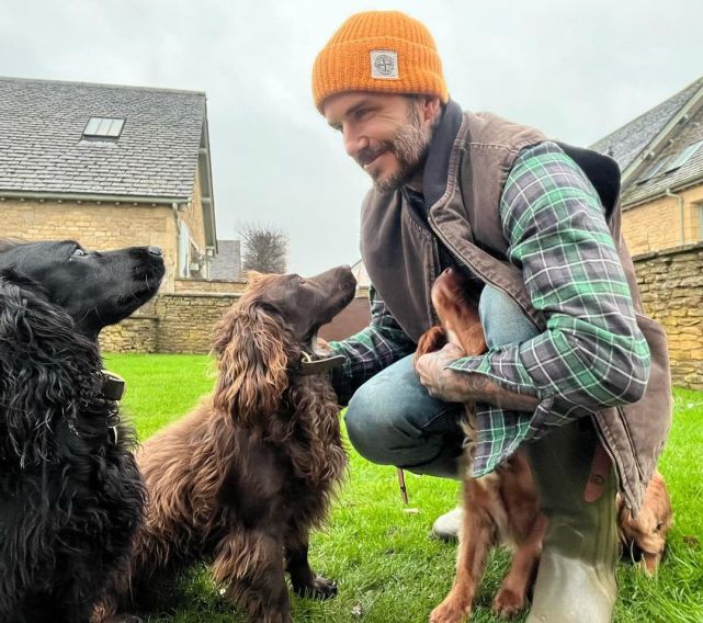 二哥|贝克汉姆爱妻晒全家出游照，10岁小七搂大哥二哥女友合影超亲密